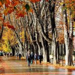 article-1eb025f0-1403-4ba2-a0cb-e227ad9cd42d_0