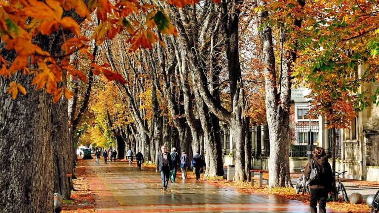 article-1eb025f0-1403-4ba2-a0cb-e227ad9cd42d_0