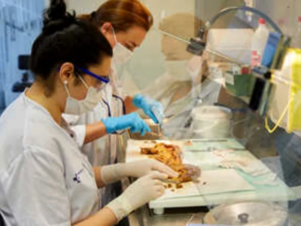 Investigadoras trabajando en un laboratorio con muestras biológicas.