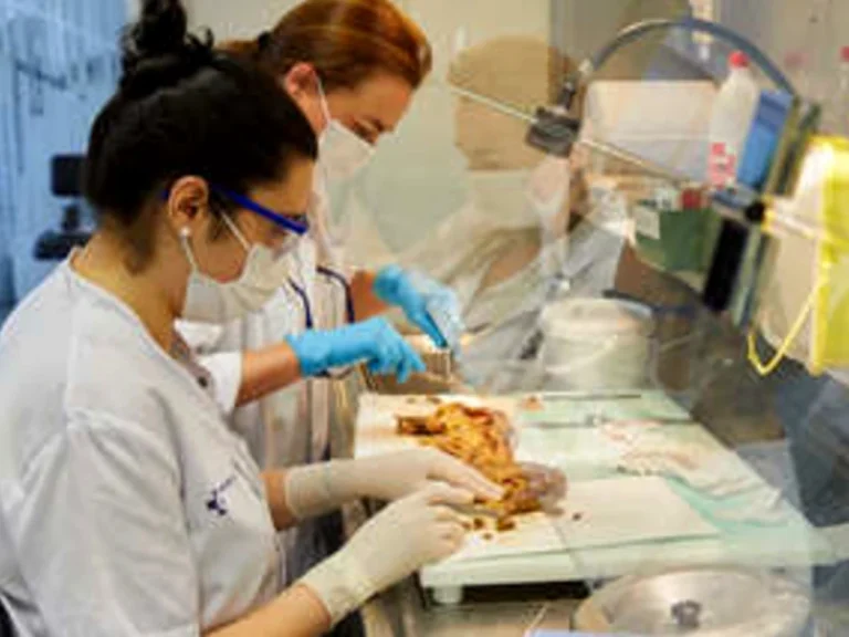 Investigadoras trabajando en un laboratorio con muestras biológicas.