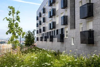 Edificio de viviendas con balcones y vegetación en primer plano