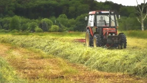 Tractor trabajando en un campo verde y soleado