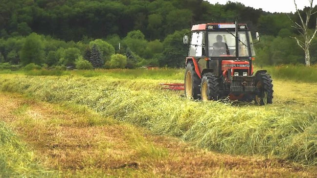 Tractor trabajando en un campo verde y soleado