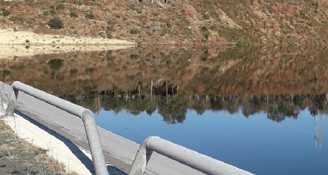 Reflejo de un paisaje en un embalse con vegetación