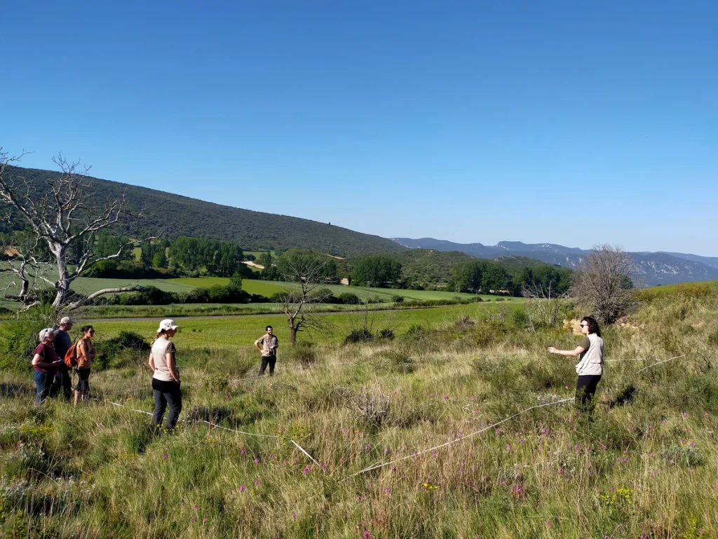 Grupo de personas realizando seguimiento de hábitats naturales en un paisaje de Euskadi.