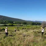 Grupo de personas realizando seguimiento de hábitats naturales en un paisaje de Euskadi.