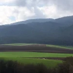 Paisaje rural con campos verdes y montañas al fondo