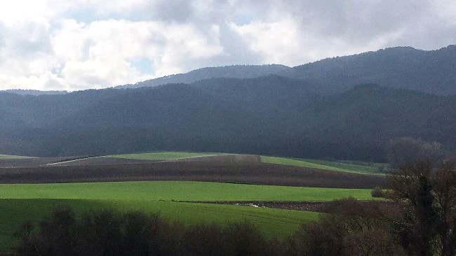 Paisaje rural con campos verdes y montañas al fondo