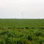 Campo verde con un aerogenerador al fondo
