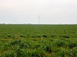 Campo verde con un aerogenerador al fondo