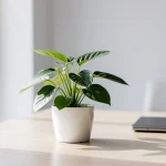 Planta verde en maceta blanca sobre mesa de trabajo