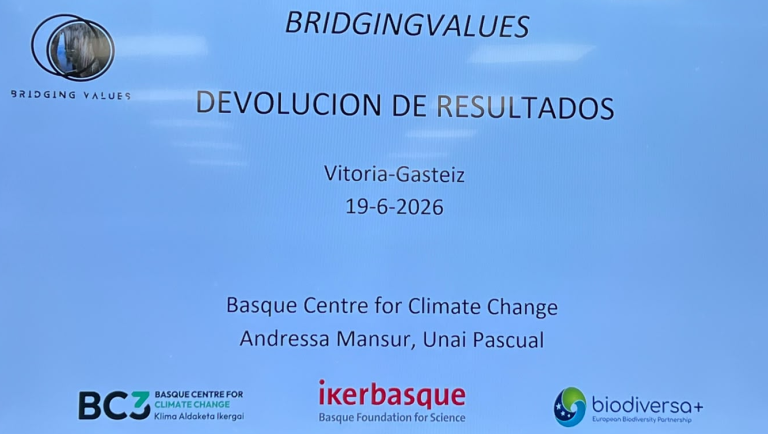 Cartel de la jornada final del proyecto Bridging Values