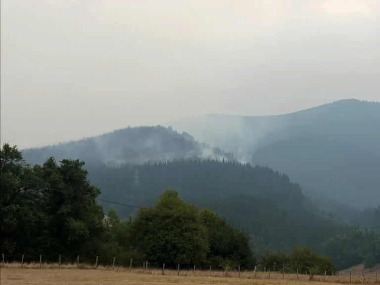 Humo y llamas en las montañas debido a un incendio forestal