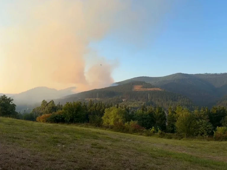 Humo de un incendio forestal en Llanteno, Ayala, con montañas al fondo.