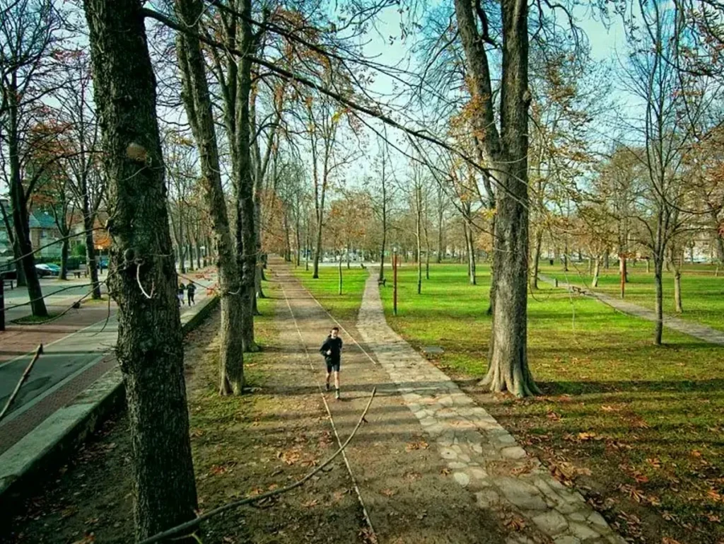 Parque con senderos y árboles en Vitoria-Gasteiz