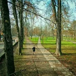 Parque con senderos y árboles en Vitoria-Gasteiz