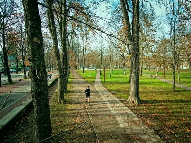 Parque con senderos y árboles en Vitoria-Gasteiz